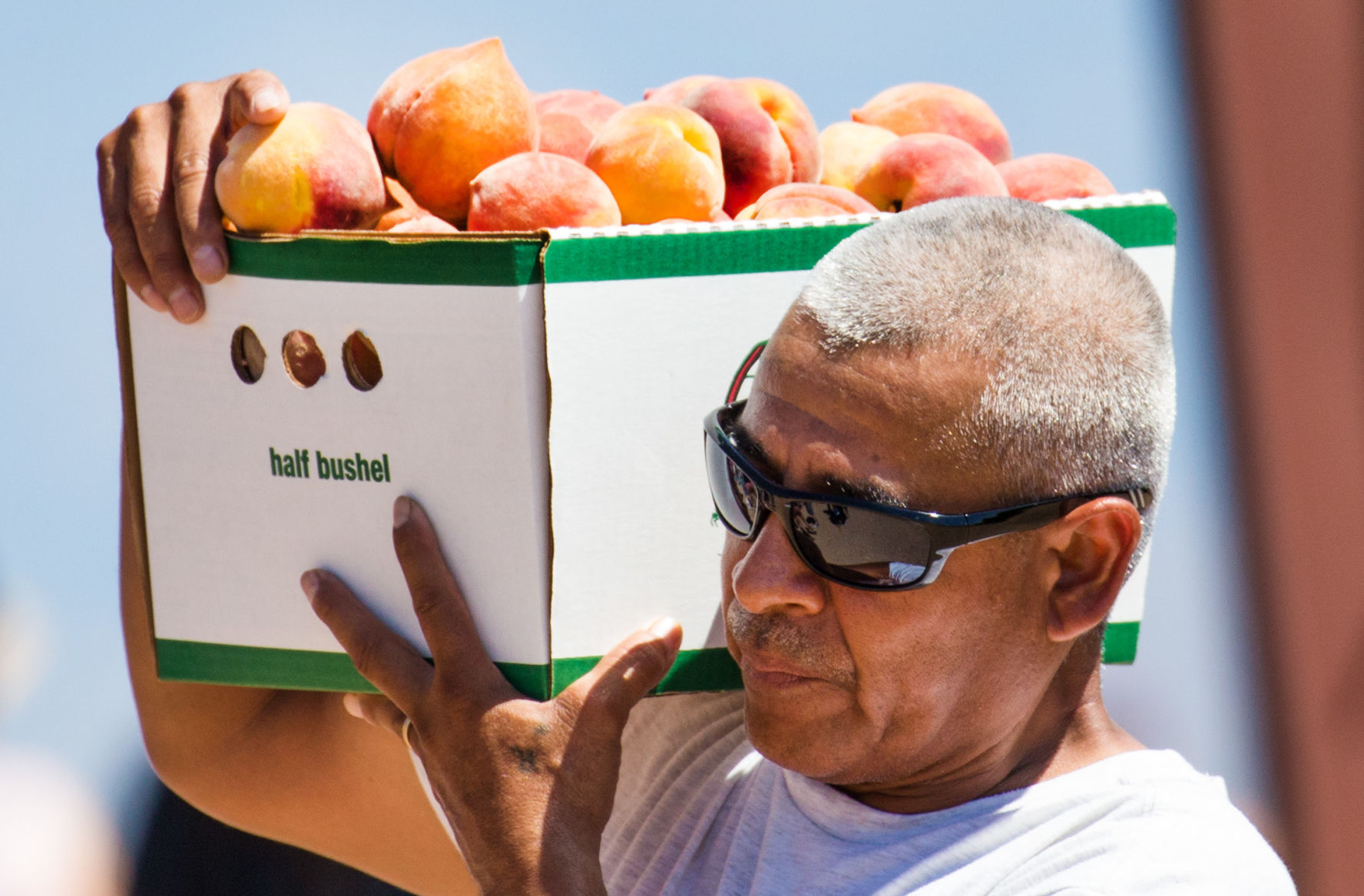 Peach Mania at Apple Annie's